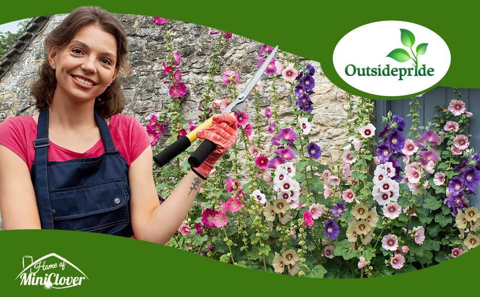 Halo Hollyhock Flower Garden Mixture
