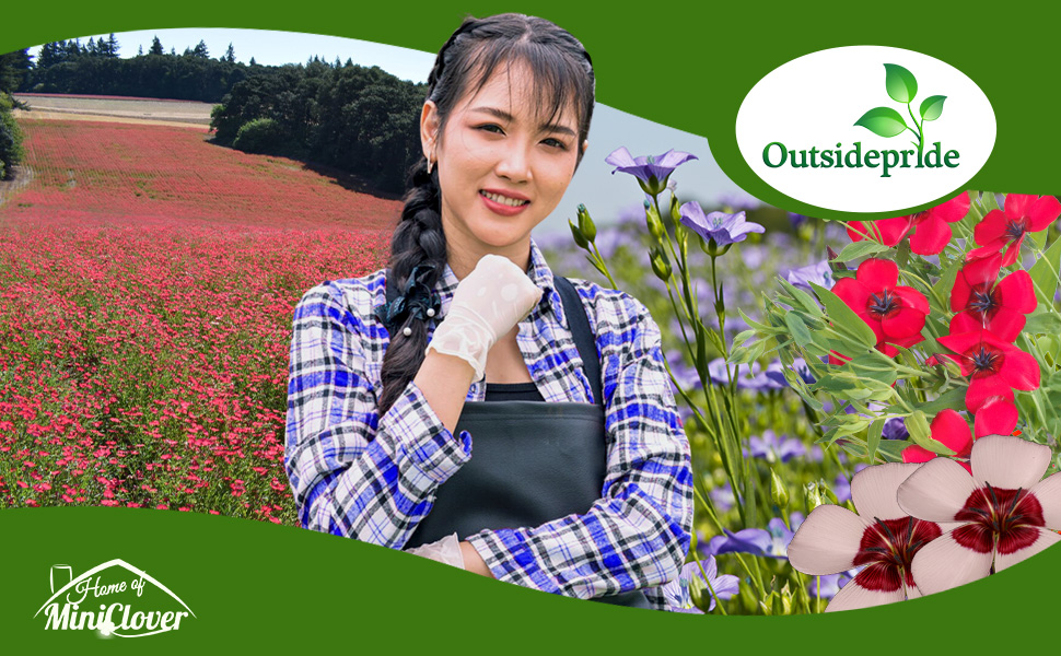 Flax Seed Packet & Bulk Bag For Planting