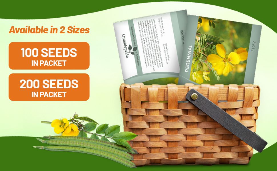 Senna Seed Packets For Sale