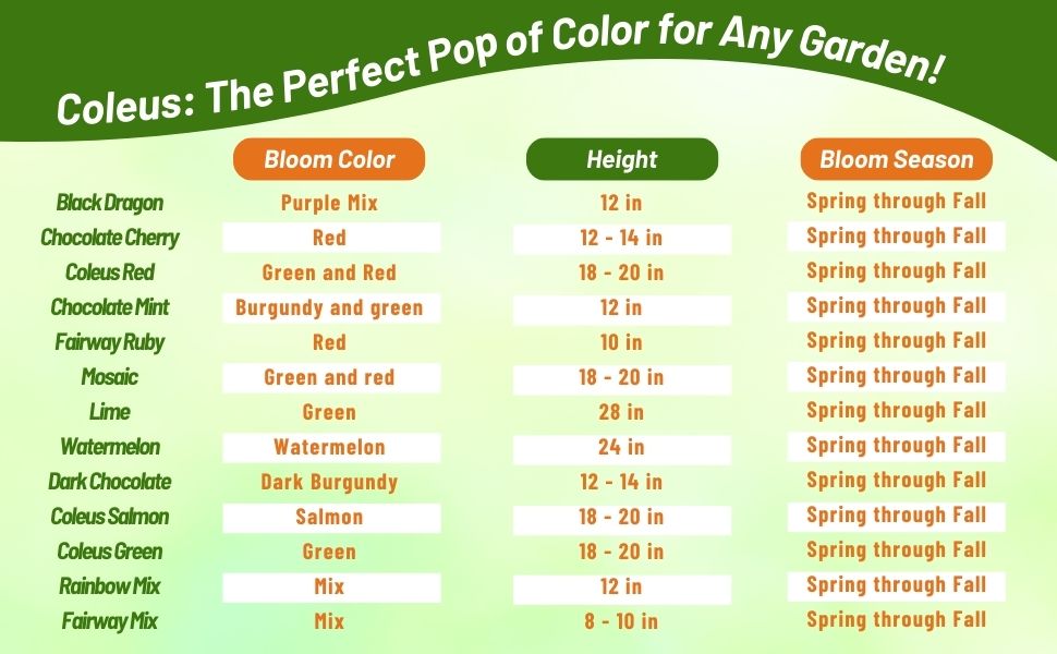 Bloom Season, Height, & Color Chart of Coleus Foliage Varieties
