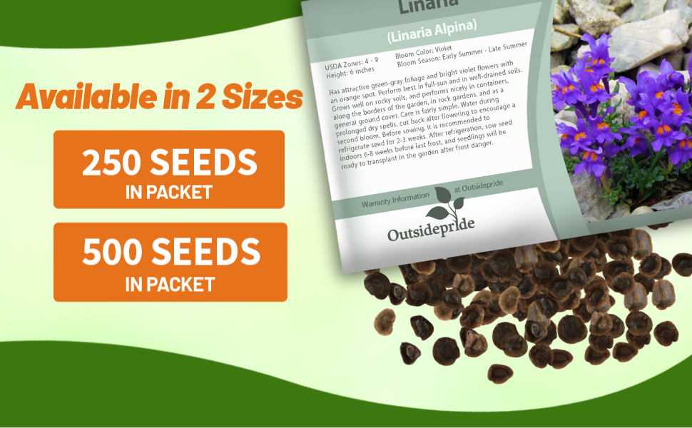 LInaria Alpina Toadflax Seed Packets For Sale