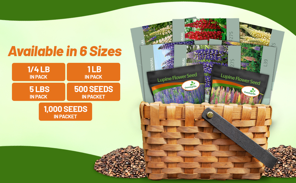Lupine Seed Packets 1/4 lb, 1 lb, & 5 lb Bulk Bags
