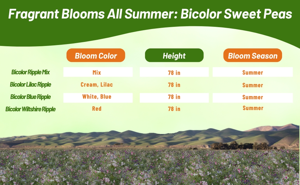 Bloom Color, Height, and Season Chart for Bicolor Lathyrus Sweet Peas