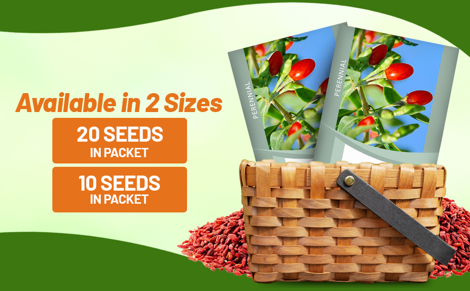 Goji Berry Seed Packet For Sale