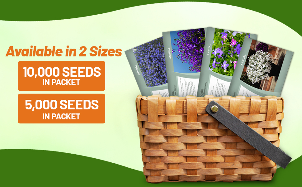 Lobelia Seed Packets For Sale