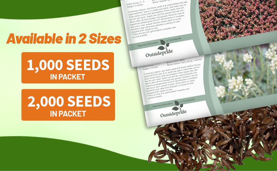 Antennaria Pussytoes Seeds Packets For Sale
