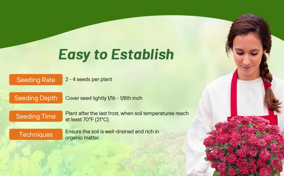 Planting Directions for Zinnia Profusion Double Hot Cherry Flower Seeds