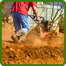 Planting White Dutch Clover