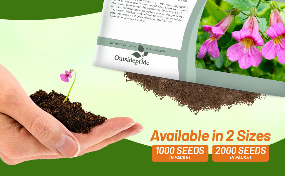 rehmannia chinese foxglove seed packets for sale