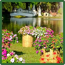 Southeast Wildflower Seed Mixture in Containers