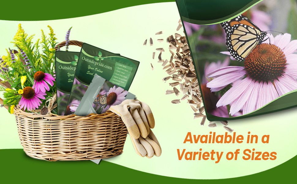 Echinacea purpurea Purple Coneflower Seed Bags For Planting