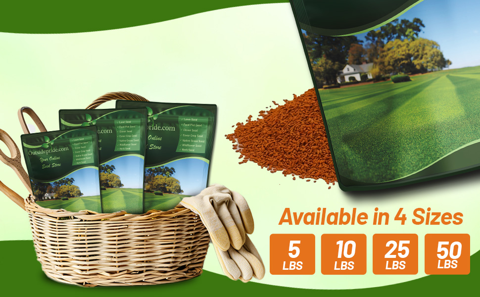 Blackjack II Bermuda Lawn Grass Seed