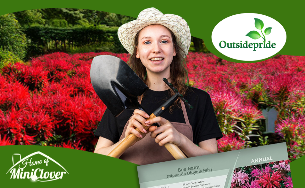 Monarda Didyma Bee Balm Mix Flower Garden