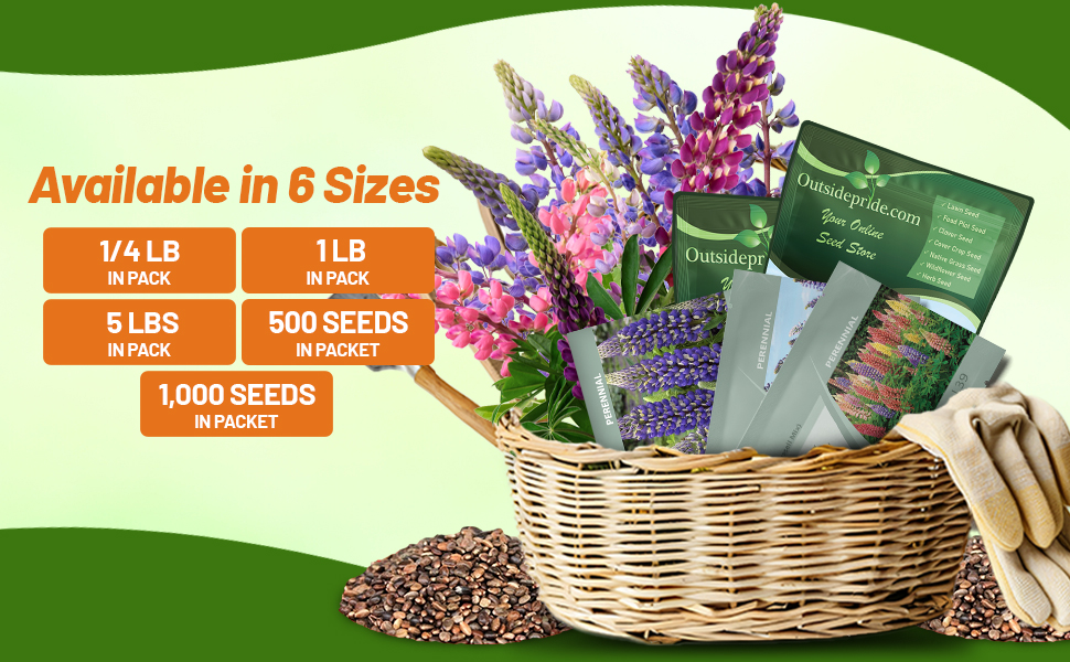 Lupine Seed Packets 1/4 lb, 1 lb, & 5 lb Bulk Bags