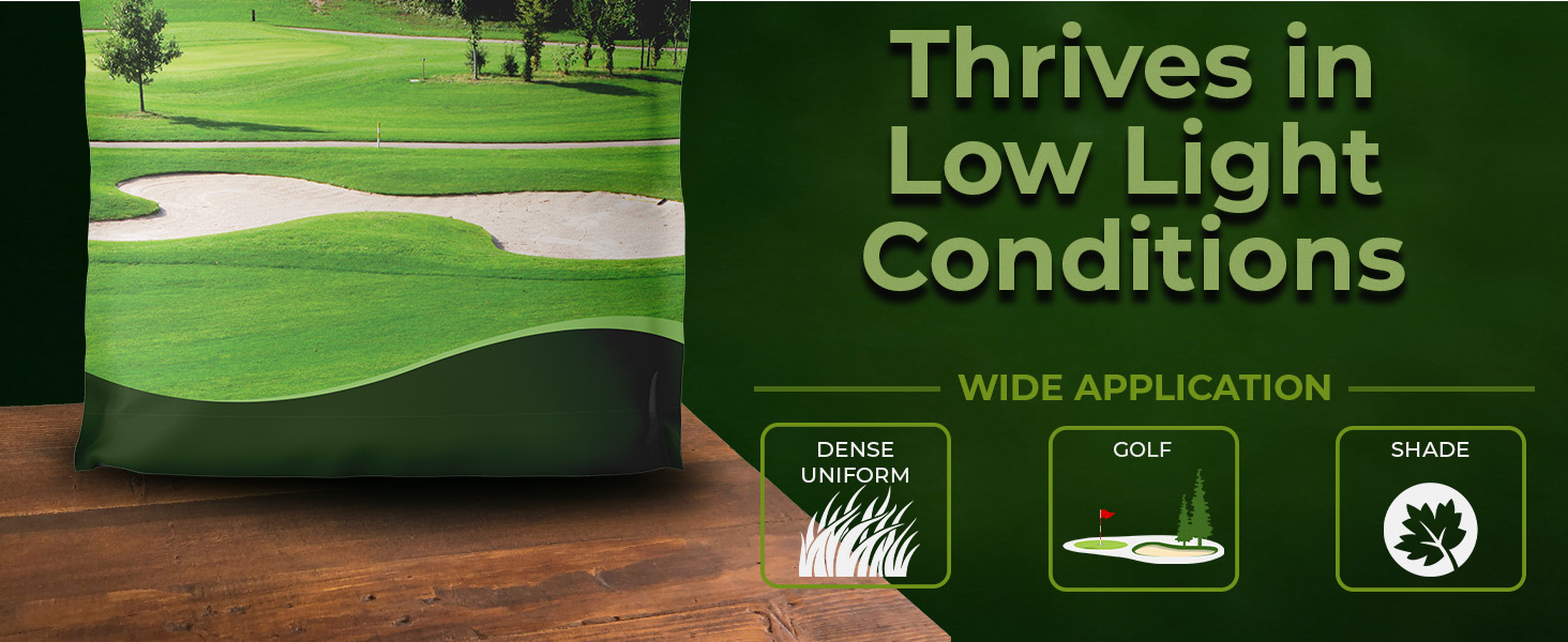 True Putt Putting Green Seed