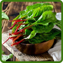 Tender, Nutritious Leaves of Swiss Chard