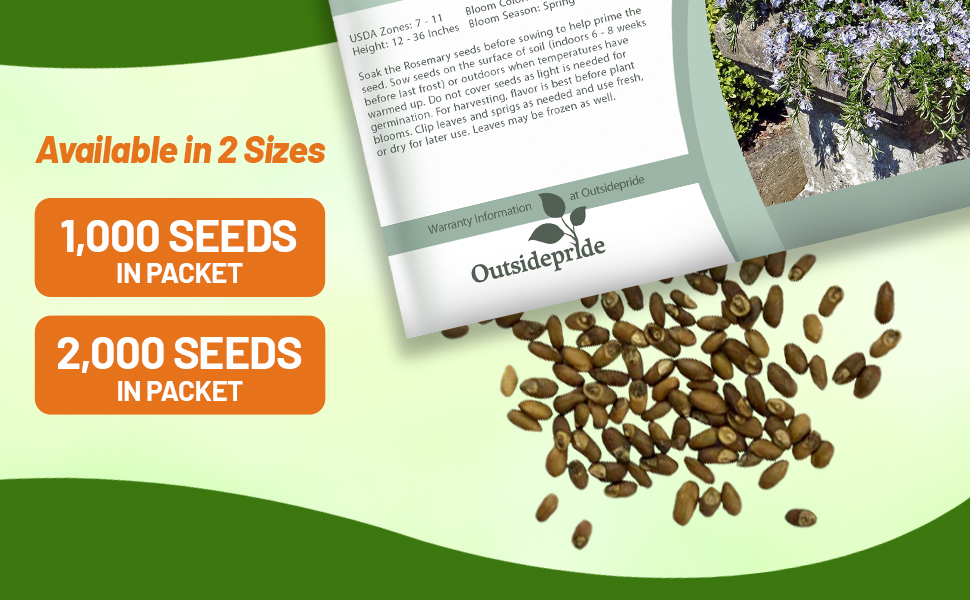 Rosemary Seed Packet