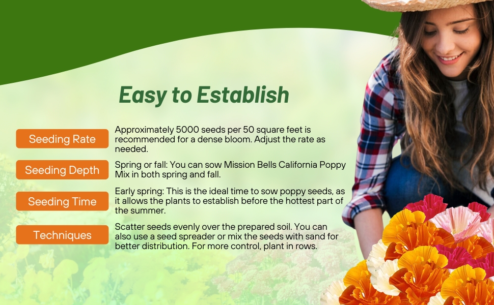 Seeding Rate & Planting Time For Mission Bells California Poppy