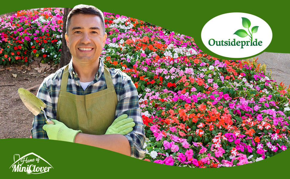 Impatiens Flower Seed Mixtures in Garden
