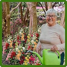 Women Watering Hollyhock Flower Mix Garden