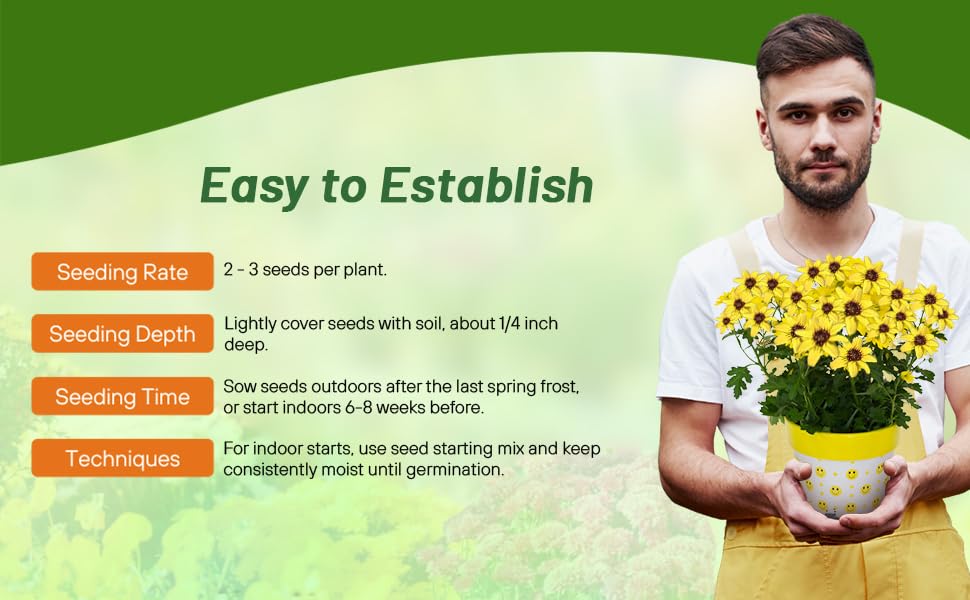 Planting Directions For Chocolate Flower Seeds