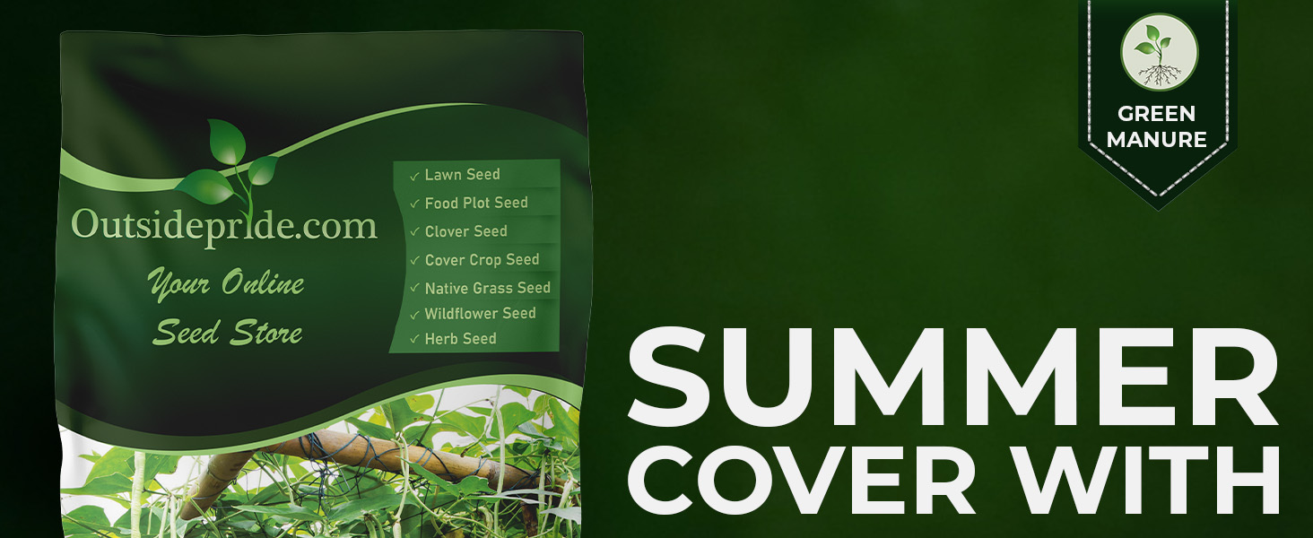 Cowpeas Seeds For Planting