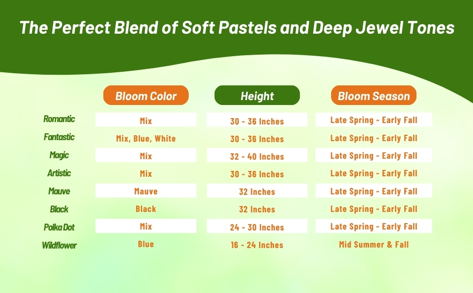 Bloom Season, Height, & Color Chart for Annual Cornflower Bachelor Button
