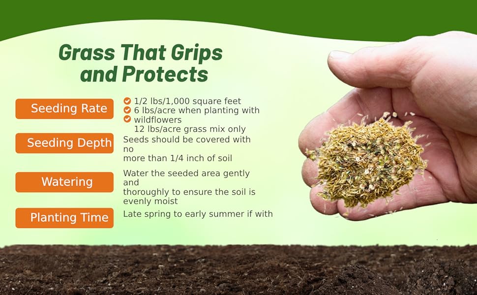 Seeding Rate & Planting Time of Tall Native Grass Seed Mix