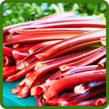 Rhubarb Red Stalks