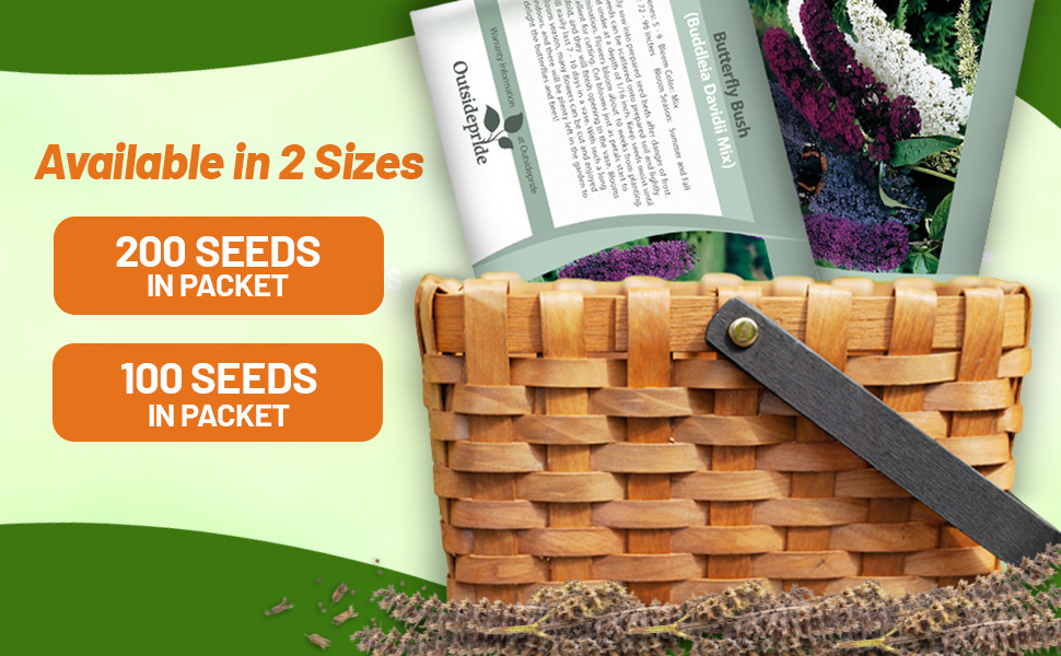 Butterfly Bush Seed Packets For Planting