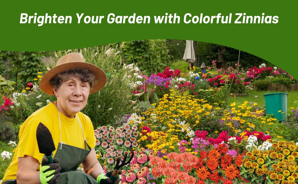 Gardener Taking Care of Zinnia Elegans Flower Garden