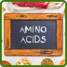 Rich in Essential Amino Acids Soybeans