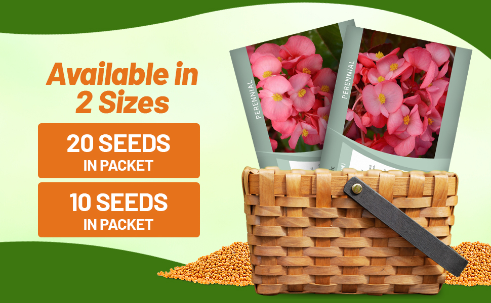 Megawatt Begonia Seed Packet For Sale