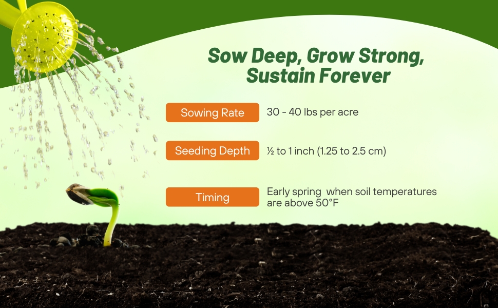 Planting Directions For Sainfoin Seeds