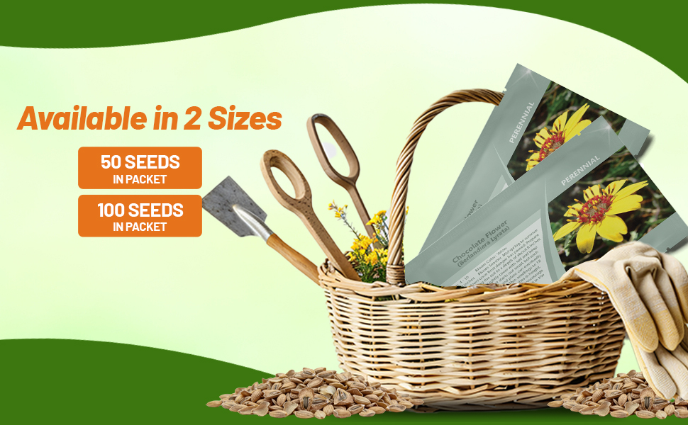 Chocolate Flower Seed Packets For Planting