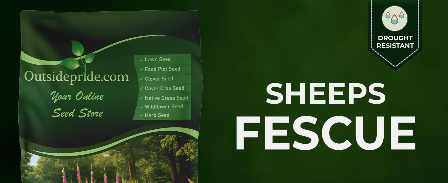 Sheeps Fine Fescue Grass Seed