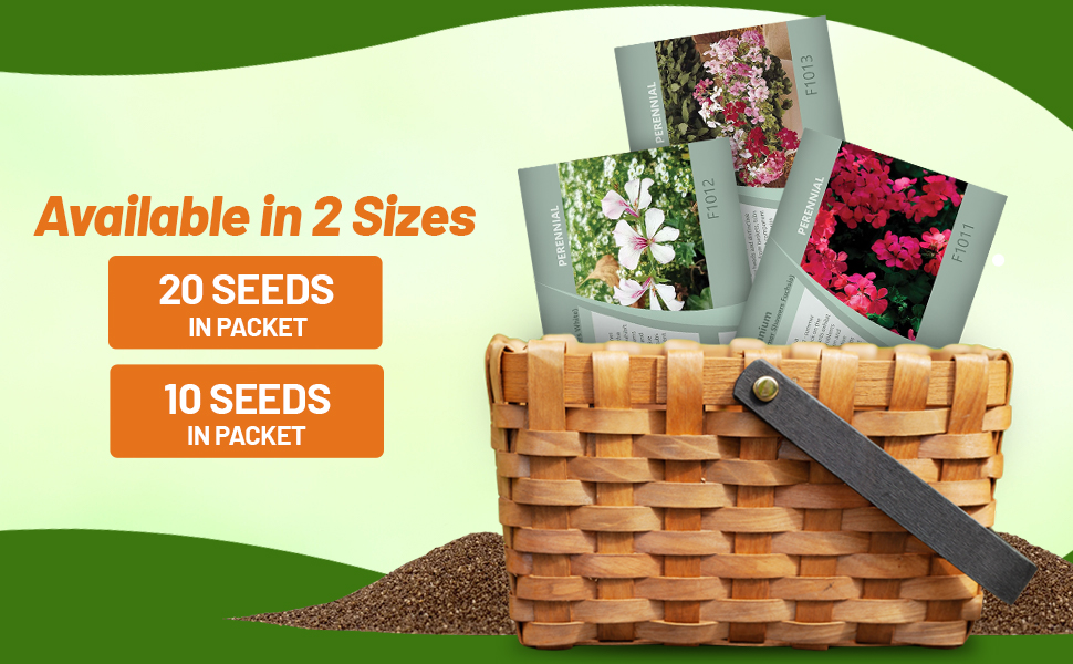 Ivy Leaf Geranium Flower Seed Packets For Sale