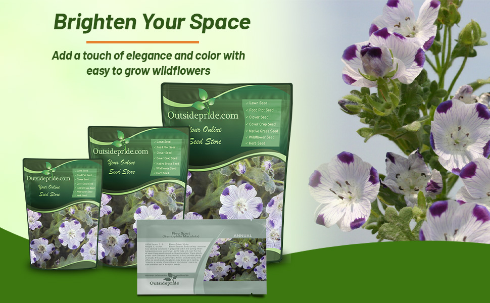Nemophila Five Spot Bags For Planting