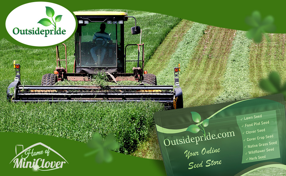 Field of High Protein Alfalfa Being Harvested