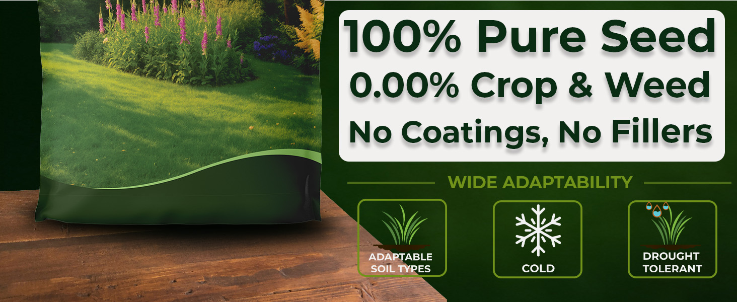 Pure, Raw Sheeps Fescue Grass Seed