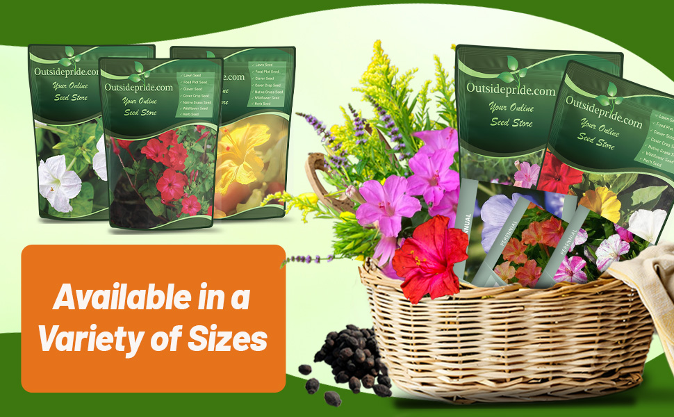 Mirabalis Jalapa Four O' Clock Seed Bags For Planting