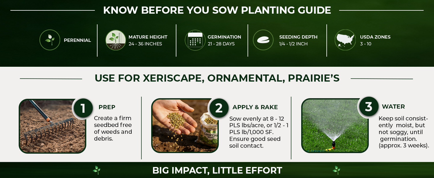 Little Bluestem Planting Directions