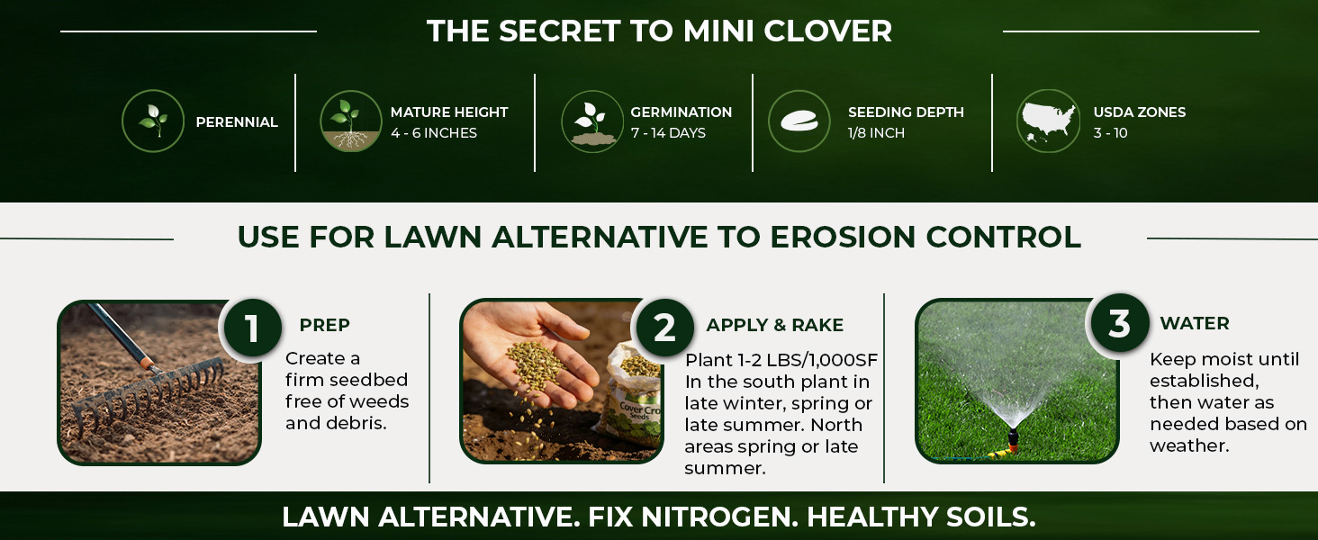 Miniclover Planting Directions