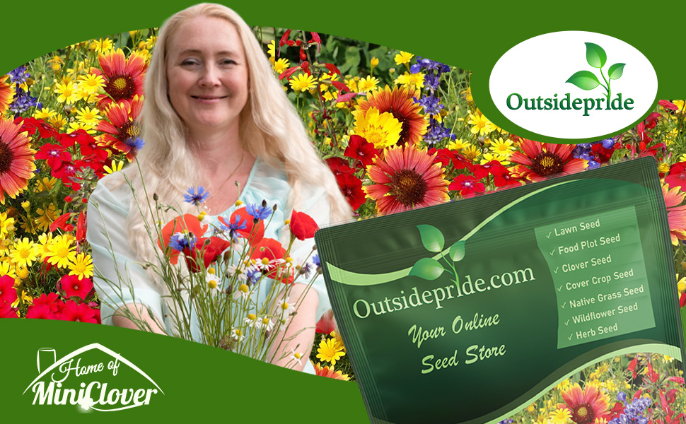 Texas Oklahoma Wildflower Mixture