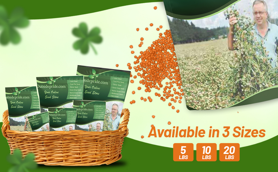 Fixation Balasna Deep Rooted Biomassive Clover Seeds
