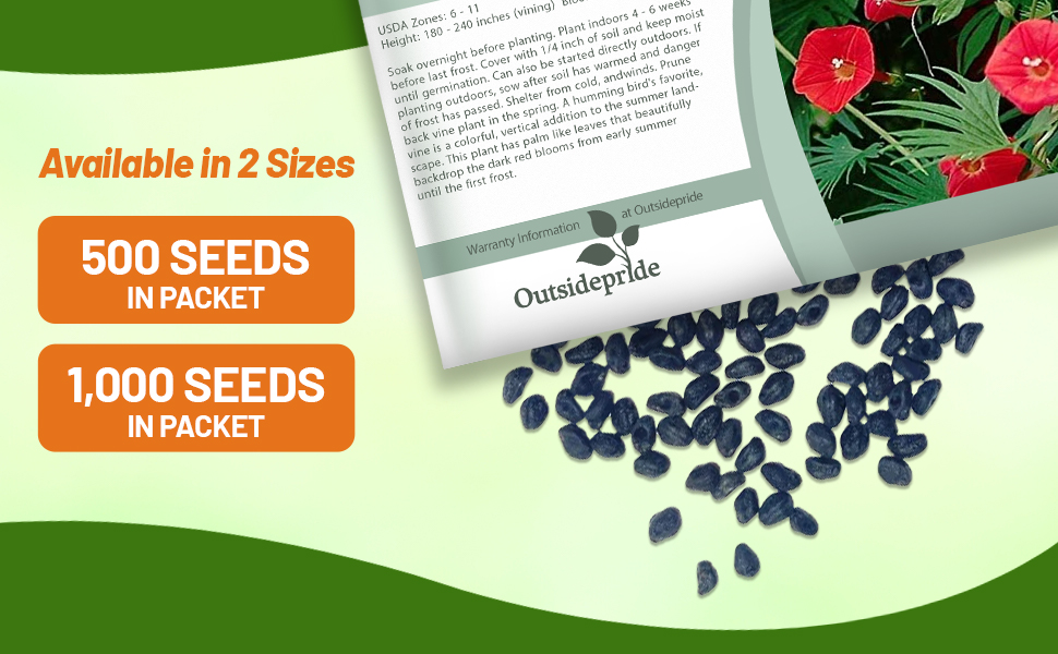 Cardinal Climber Seed Packets For Planting
