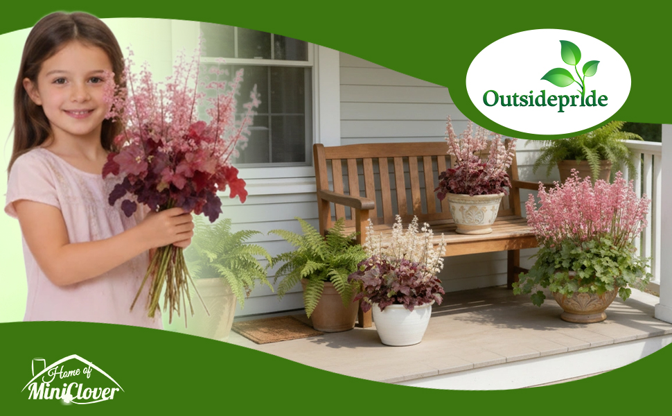 Heuchera Coral Bells Container Plants on Table
