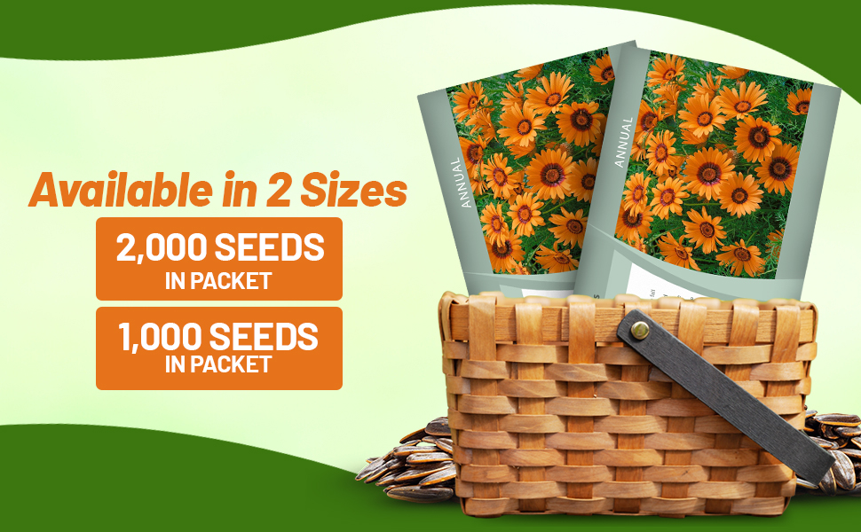 Ursinia Flower Seed Packets For Planting