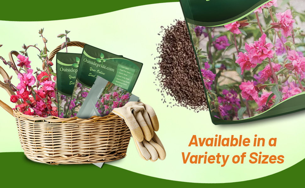 Clarkia Bulk Seed Bags For Planting Wildflower Seeds