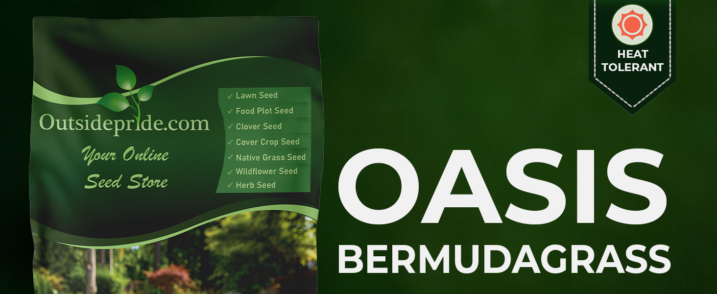 Oasis Bermuda